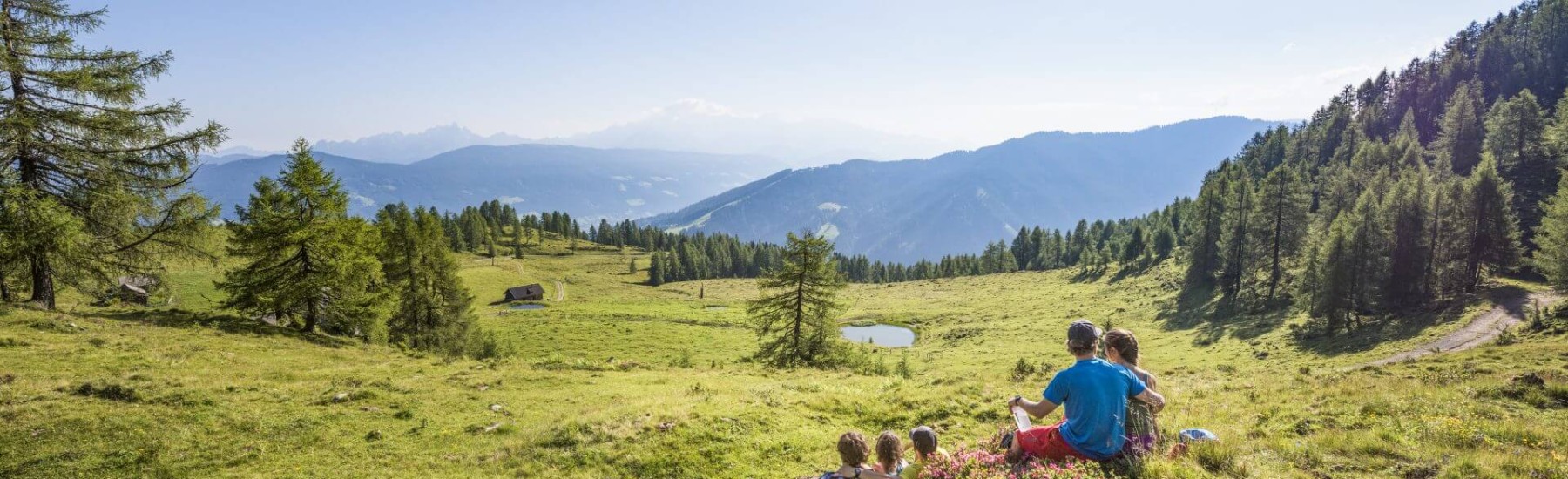 familie op alpenweide bij flachau zomer
